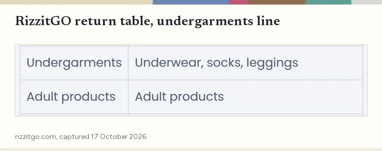 Crop of RizzitGO’s return table showing the header and the undergarments line listing underwear, socks and leggings