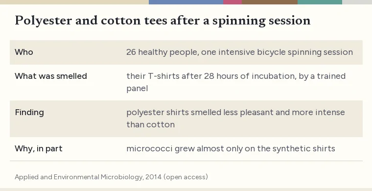 Summary card of the 2014 study comparing odor on polyester and cotton T-shirts after exercise